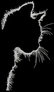 Machine Embroidery Inspiration, Dark Embroidery, Advanced Embroidery, Cool Pencil Drawings, Pola Sulam, Animal Silhouette, 수채화 그림, Cat Silhouette, 자수 디자인