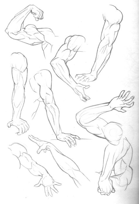 Arm Anatomy, Arm Drawing, Male Figure Drawing, Human Anatomy Drawing, Body Sketches, Human Figure Drawing, Anatomy Sketches, 캐릭터 드로잉, Anatomy Drawing