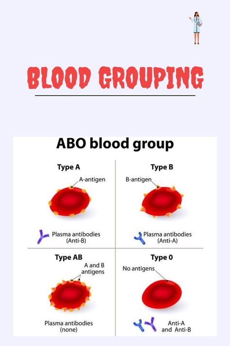 BLOOD GROUP Medical Laboratory Science Student, Blood Group, Nursing Study Guide, Medical School Life, Basic Anatomy And Physiology, Nurse Study Notes, Nursing Student Tips, Interesting Science Facts, Biology Facts