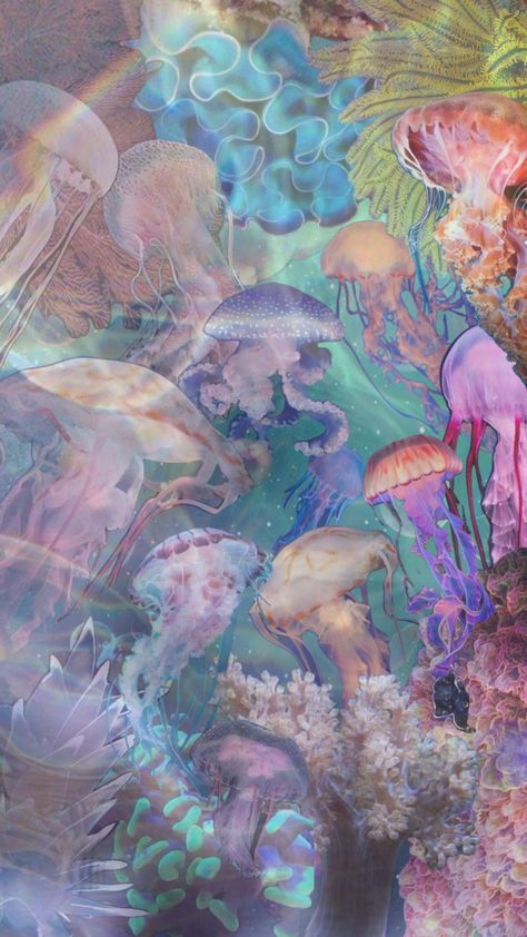 jellyfish Marine Life, Jellyfish, Wallpapers, Jellyfish Wallpaper, Sea Creatures, Abstract Painting