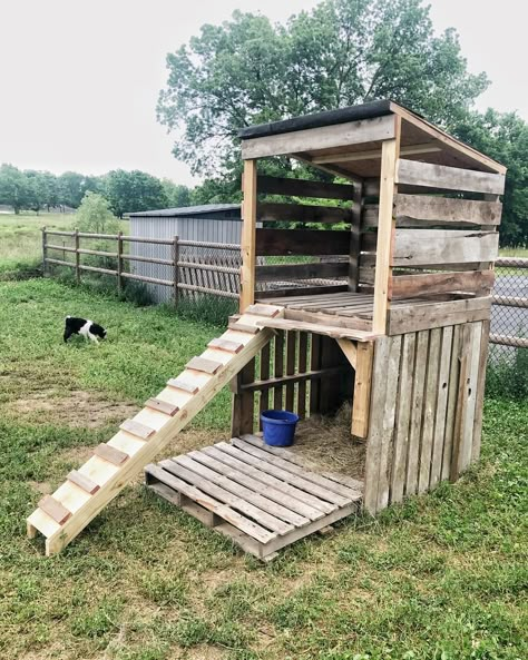 Goat Playground, Goat Shed, Livestock Shelter, Goat Shelter, Goat Pen, Mini Goats, Goat House, Raising Farm Animals, Goat Care