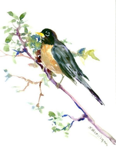 Johnny Jump Up, American Robin, Bird Coloring Pages, Easter Tree, Watercolor Bird, Birds Painting, Bird Art, Watercolor Paper, Original Watercolors