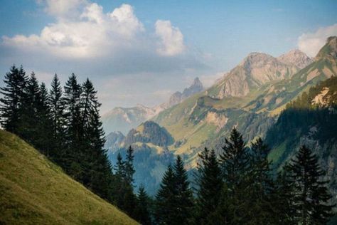 Pretty Landscapes, Bavaria Germany, Pine Trees, Nature Aesthetic, Pretty Places, Bavaria, Mother Earth, Munich, Pretty Pictures