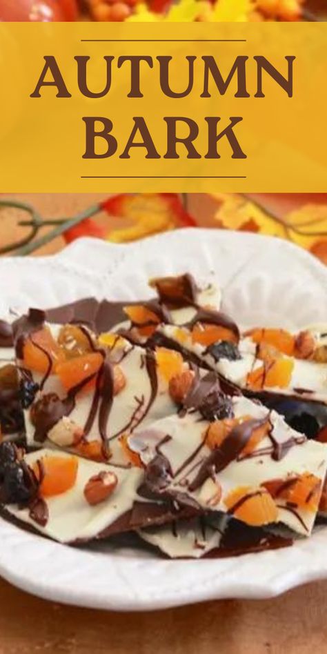 Indulge in Autumn Bark - a sweet and salty treat loaded with fall goodies like candy corn, pretzels, and chocolate. || cookingwithruthie.com #AutumnTreats #CandyBark #FallFlavors #SweetAndSalty Candy Bark Recipes, Bark Candy, Thanksgiving Chocolates, Thanksgiving Candy, Fall Goodies, Chocolate Covered Katie, Christmas Cookie Box, Chocolate Bark Recipe, Fall Candy