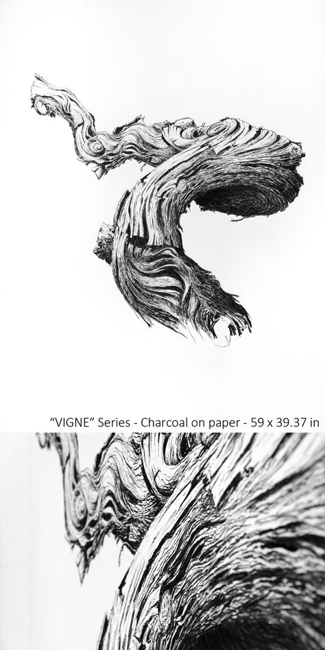 Tree Bark Reference, Tree Root Drawing, Tree Texture Drawing, Root Drawing, Beak Drawing, Vines Drawing, Vine Illustration, Twig Drawing, Vine Tree