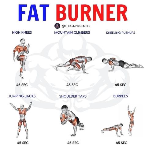 Burner Workout, Fat Burner Workout, Female Libido, Female Fertility, Lipid Profile, Burning Workout, Decrease Inflammation, Fat Burning Smoothies, Visceral Fat