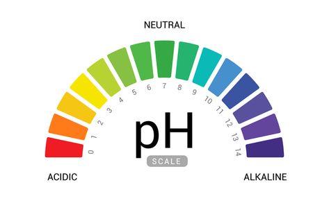 Learn about Women’s PH Balance Symptoms, Best Vitamins and More in this blog. We cover everything there is to know about women's PR balance. Click here to learn more. Ph Chart, Ph Scale, Circle Infographic, Low Estrogen, Blood Sugar Diet, Ph Levels, Ph Balance, How To Make Logo, Warning Signs