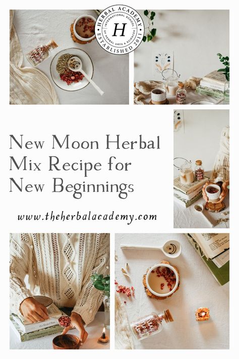 New Moon Herbal Mix Recipe for New Beginnings | Herbal Academy | This article will discuss the energy of the New Moon and how to support yourself with herbs during this internal time in the lunar cycle. Beginning Herbalism, New Moon Bath Ritual Recipe, New Moon Tea, Moon Food, New Moon Ritual, New Moon Phase, Herbal Academy, Moon Milk, Lunar Magic