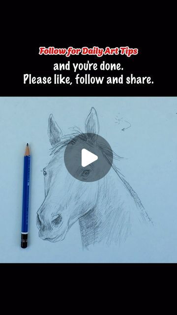 Horse Face Drawing, Horse Drawing Tutorial, Horse Pencil Drawing, Draw A Horse, Drawing Horse, Tutorial Drawing, Horse Sketch, Sketch Videos, Drawing Sketchbook