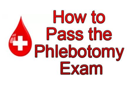 Phlebotomy Tips, Phlebotomy Notes, Blood Vessels Anatomy, Phlebotomy Certification, Medical Terminology Flash Cards, Phlebotomy Study, Phlebotomy Technician, Medical Reference, Blood Sport