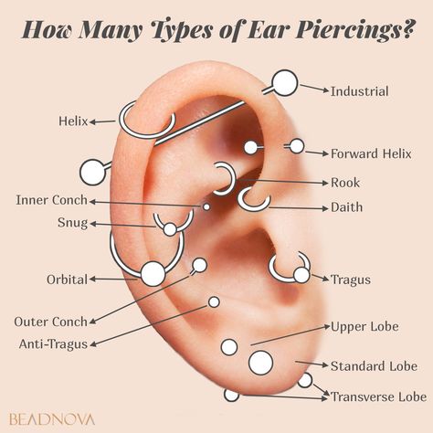 How Many Types of Ear Piercings? Click to find out more. Ear Piercing Pain Chart, Ear Piercing Chart Pain, Pierce Hawthorne, Piercing Pain Chart, Piercing No Rosto, Types Of Body Piercings, Piercings Belly Button, Piercing Names, Frenulum Piercing