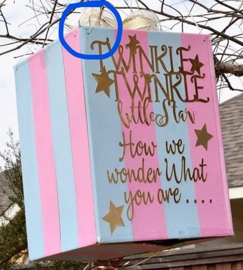 Gender Reveal Pinata Diy, Drop Box Ideas, Diy Gender Reveal, Gender Reveal Pinata, Gender Reveal Diy, Gender Reveal Box, Creative Gender Reveals, Gender Reveal Baby Shower Themes, Twin Gender Reveal