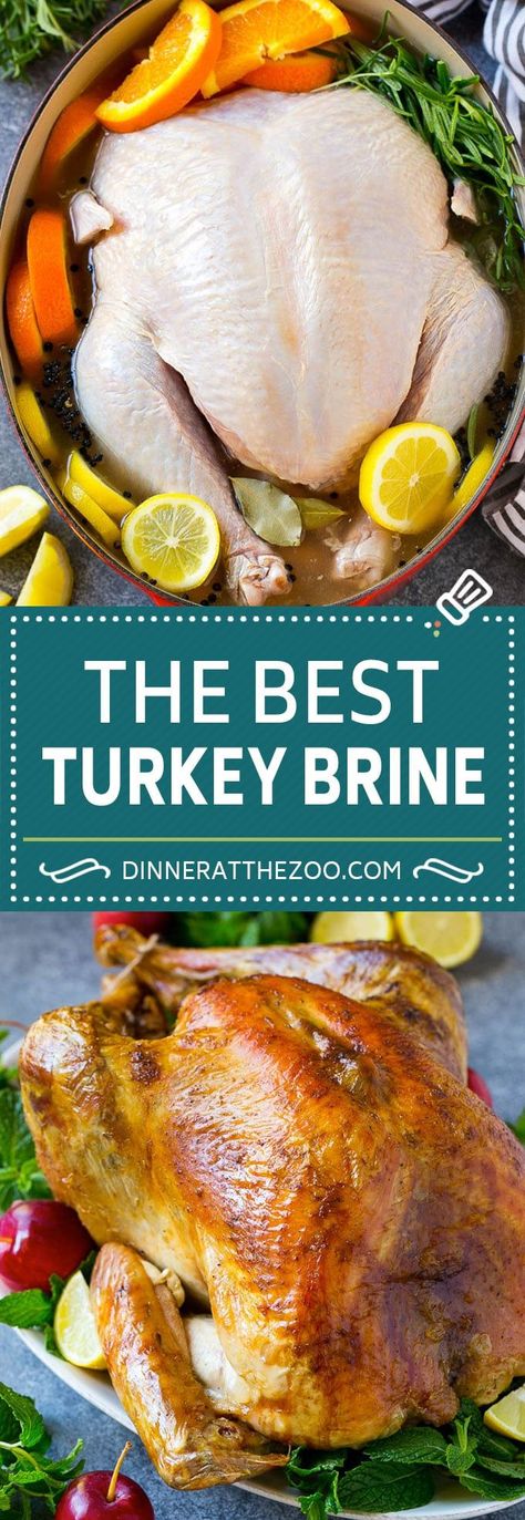 Turkey Brine Recipe | Brined Turkey | Roasted Turkey | Thanksgiving Turkey #turkey #thanksgiving #fall #brine #dinner #christmas #dinneratthezoo Brined And Roasted Turkey, Infused Turkey Recipes, Turkey Infusion Recipe, Turkey Salt Brine, Whiskey Brine For Turkey, Turkey Brining Recipes Easy, Turkey Brine Apple Juice, Apple Cider Vinegar Turkey Brine, Homemade Turkey Brine Recipe