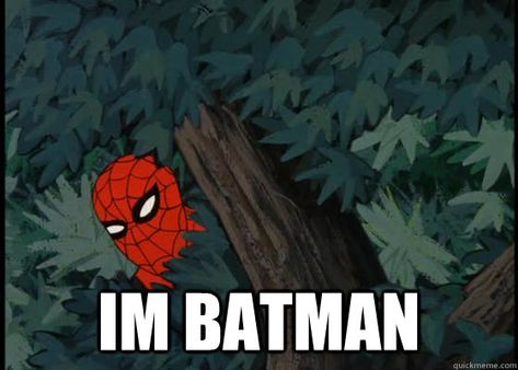 Spider-man's the Batman Spiderman