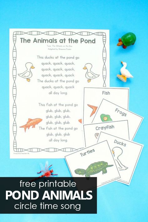 Free printable Animals at the Pond Circle Time Song Freebie for Preschool and Kindergarten Pond Theme Pond Animals Preschool, Pond Preschool, Preschool Circle Time Songs, Pond Life Theme, Frogs Preschool, Pond Crafts, Pond Animals, Animals Preschool, Circle Time Songs