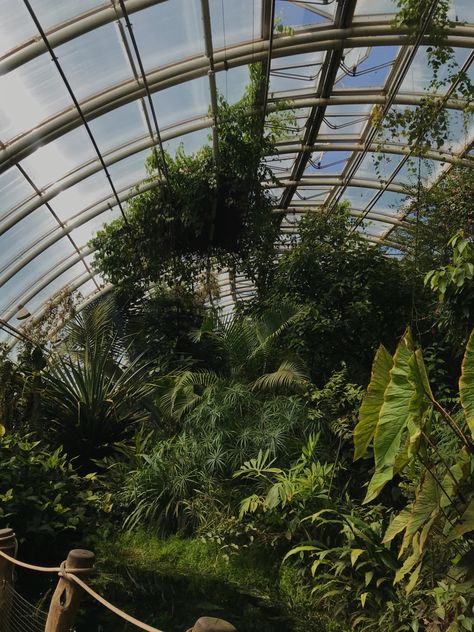 Big Green House Aesthetic, Greenhouse Botanical Garden, Big Greenhouse Aesthetic, Prague Botanical Garden, Botanical Gardens Aesthetic, Greenhouse Airbnb, Big Garden Aesthetic, Botanic Garden Aesthetic, Nevermore Academy Aesthetic