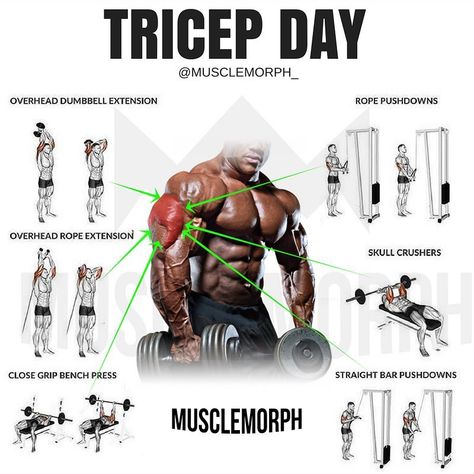 5,704 Likes, 19 Comments - MuscleMorph® (@musclemorph_) on Instagram: “Is your chest lagging? Try this workout SAVE it so you can use it at the gymLIKE and FOLLOW…” Tricep Workout, Gym Antrenmanları, Fitness Routines, Trening Fitness, Muscle Building Workouts, Weight Training Workouts, Gym Routine, Workout Chart, Chest Workouts