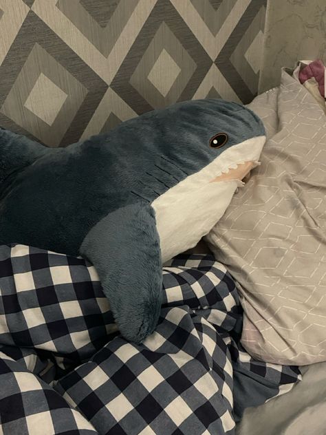 Blahaj Shark Aesthetic, Blåhaj Pfp, Shark Plushie Aesthetic, Ikea Shark Aesthetic, Blajah Shark, Shark Room Aesthetic, Blahaj Pfp, Ikea Blahaj, Shark Plushies