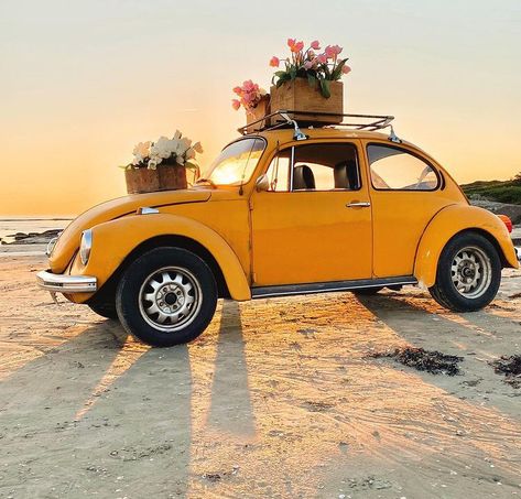 Vw Beetle Classic Aesthetic, Volkswagon Bug Aesthetic, Yellow Car Aesthetic, Volkswagen Vintage, Volkswagen Beetle Vintage, Van Vw, Bug Car, Vw Sedan, Vw Vintage