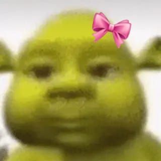 Pfp For Sisters Funny, Cute Memes Profile Icon, Shrek Side Eye, Trolling Pfp, Pfp Ideas Funny, Shrek Pfp, Funny Gc Pfp, Pfp Icons Funny, Side Eye Reaction Pic