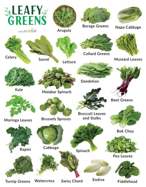 Green Vegetables List, Leafy Green Vegetables, Vegetables List, Broccoli Leaves, Sweet Potato Leaves, Vegetable Chart, Green Leafy Vegetables, Sour Cabbage, Malabar Spinach