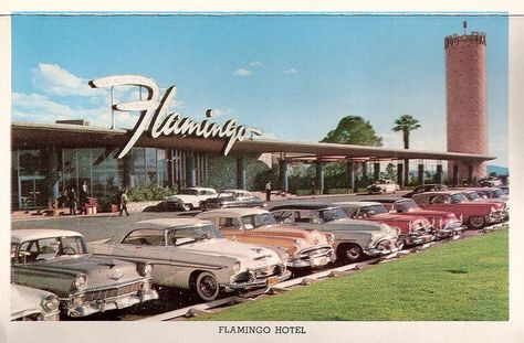 ❥ The Flamingo, Las Vegas '50's 1960s Vegas, Flamingo Hotel Las Vegas, Flamingo Las Vegas, Vegas Vintage, Flamingo Hotel, Old Vegas, Vintage Hotel, Vegas Hotel, Vegas Casino