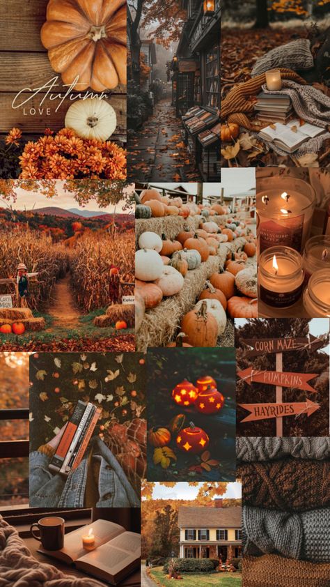 Fall Wallpaper Aesthetic October, September Ipad Wallpaper, Autumn Cottagecore Aesthetic, Ipad Wallpaper Fall Aesthetic, Autumn Aesthetic Wallpaper Ipad, Autumn Wallpaper Ipad, Autumn Ipad Wallpaper, Autumn Aesthetic Collage, Pumpkin Patch Wallpaper