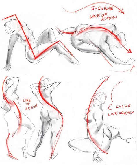 George Cwirko Godycki on Instagram: “I teach figure drawing more for animators than illustrators these days; which means the emphasis on line of action has become greater than…” Body Proportion Drawing, Drawing Notes, Line Of Action, Croquis Drawing, Figure Drawing Tutorial, Comic Art Sketch, Nude Artwork, Pencil Sketch Images, Human Anatomy Drawing