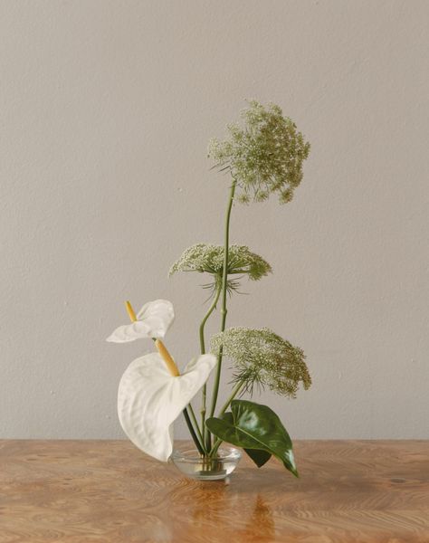 Minimal Flower, Ikebana Arrangements, Ikebana Flower Arrangement, Flower Installation, Flower Vase Arrangements, Minimalist Flowers, Instagram Image, Vase Arrangements, Japanese Flowers