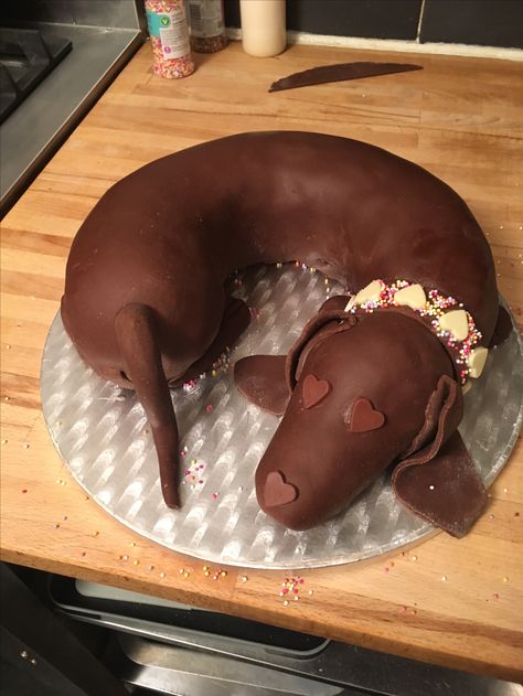 Stefka's sausage dog cake, with chocolate ganache and chocolate fondant icing. Daschund Cakes, Weiner Dog Birthday Cakes, Sausage Dog Cake Dachshund, Sausage Dog Cake, Dachshund Cake Topper, Fondant Weiner Dog, Dachshund Cake, Cake With Chocolate Ganache, Mums Birthday