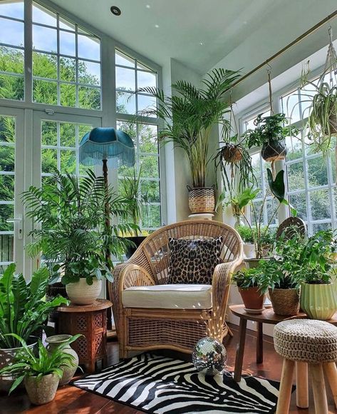 All Season Room, Different House Styles, Sunroom Decorating, Bohemian Furniture, Florida Room, Balcony Plants, Plant Decor Indoor, Amazing Decor, Room With Plants