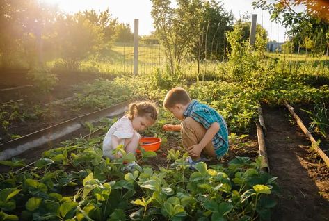 Kids Playing Outside Aesthetic, Family In Garden, Babysitting Aesthetic, Garden Farming, Waldorf Kids, Gardening With Kids, Children Garden, Creative Art Activities, Kids Gardening