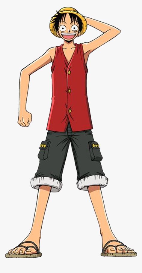 Monkey D Luffy, Cartoon Character, Full Body, One Piece, Water, Anime, Black