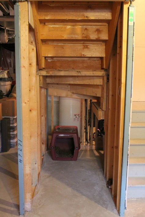 Finishing Under Basement Stairs, Raised Ranch Finished Basement, Under Stair Basement Storage, Unfinished Basement Dog Area, Space Under Basement Stairs Ideas, Adding Stairs To Basement, Under Basement Stairs Storage Ideas, Under Steps Storage Basements, Finish Under Stairs