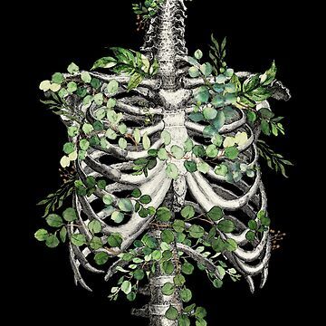 "Ribcage botanical, rib cage, floral anatomy skeleton with eucaliptus leaves" Sticker for Sale by Collagedream | Redbubble Ribcage Art Aesthetic, Skeleton Ribs Aesthetic, Rib Cage Dress, Rib Sculpture, Ribcage Sculpture, Ribs Sculpture, Rib Cage Sculpture, Green Skeleton Aesthetic, Skeleton With Plants