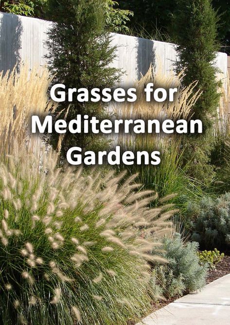 Front Yard Christmas, Modern Mediterranean Garden, Lawn Edging Ideas, Drought Tolerant Landscape Front Yard, Mediterranean Landscape Design, Mediterranean Gardens, Mediterranean Garden Design, Coastal Landscaping, Tuscan Garden