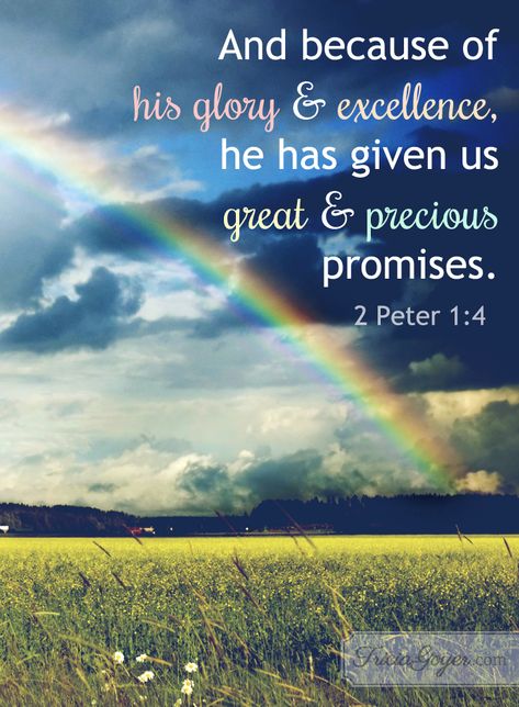 Whenever I see a rainbow, I am reminded of the great and precious promises in God's Word. Rainbow Promise, Praying For Your Children, Feeling Weak, 2 Peter, Christian Encouragement, Bible Quotes Prayer, Favorite Bible Verses, The Kingdom Of God, Gods Promises