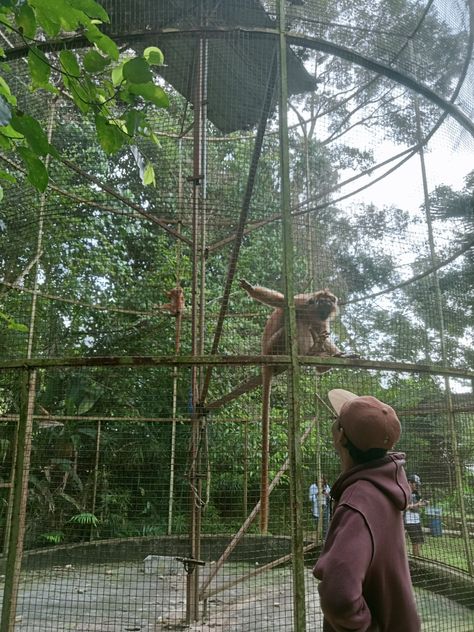 zoo date Zoo Date Couple Aesthetic, Couple Zoo Pictures, Zoo Date Couple, Zoo Pics Ideas, Zoo Aesthetic Date, Zoo Trip Aesthetic, Zoo Aesthetic With Friends, Zoo Date Aesthetic, Zoo Photo Ideas