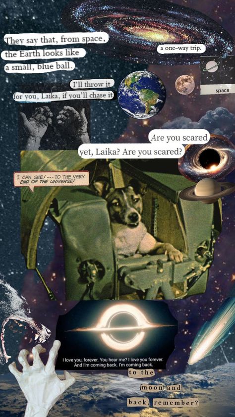 Laika Space Dog, Soviet Space Dogs, Athena Aesthetic, Laika Dog, Space Dog, Very Inspirational Quotes, Dog Wallpaper, Phone Themes, Cool Wallpaper