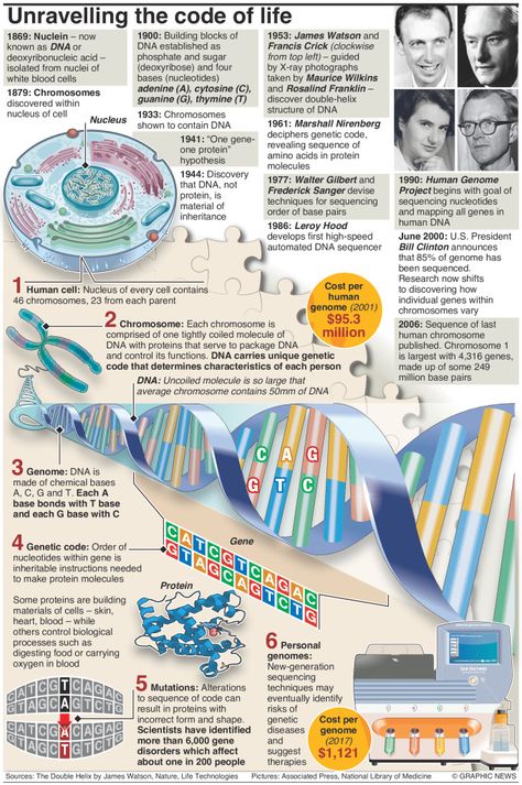 Human Genome Project, Gene Editing, Rosalind Franklin, خريطة ذهنية, Study Biology, Biology Classroom, Basic Anatomy And Physiology, Biology Facts, Human Genome