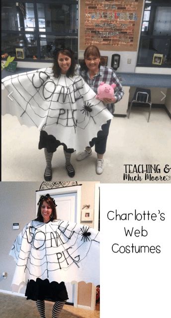 Charlottes Web Group Costume, Charlotte Web Costume, Web Costume, Kids Book Character Costumes, Charlotte Web, Book Parade, Storybook Character Costumes, Book Characters Dress Up, World Book Day Ideas