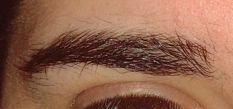 Reference photo for bushy eyebrows Bushy Eyebrows Men, Bushy Eyebrows Aesthetic, Thick Eyebrows Aesthetic, Overgrown Eyebrows, Bushy Eyebrows Natural, Brow Guide, Unruly Eyebrows, Curly Eyebrows, Make Eyebrows