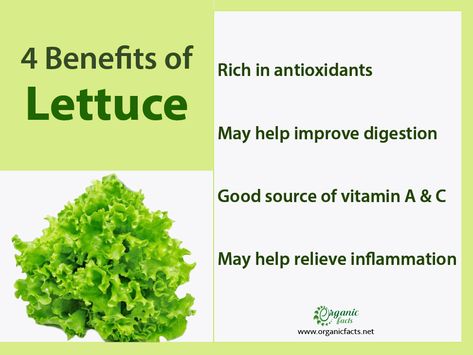 Benefits Of Lettuce, Lettuce Benefits, Lower Inflammation, Sources Of Vitamin A, Fiber Foods, Healthy Salad, High Water, Improve Digestion, Lifestyle Tips