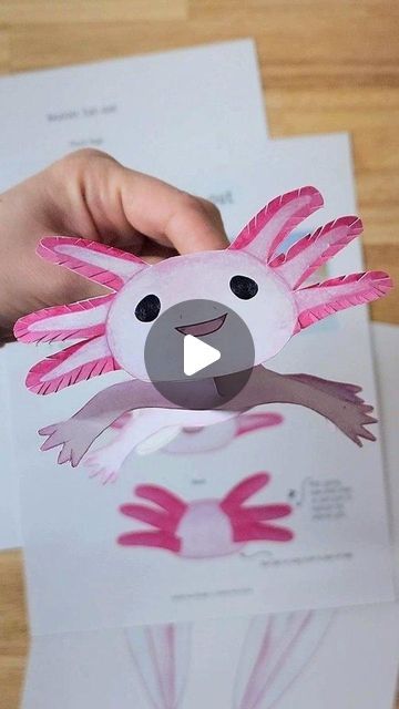 Learn about the Axolotl with our guide!  Origins, stories, and fun activities. Draw An Axolotl, Mexico Activities, Axolotl Drawing, Flora Y Fauna, Style Writing, Ancient Aztecs, Paw Design, Unit Study, Writing Prompt