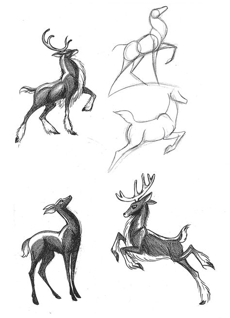 Deer. Leaping, pose Line Art Drawings Animals, Art Drawings Animals, Drawing Horses, Large Nose, Deer Drawing, Like Drawing, 캐릭터 드로잉, Poses References, Animal Sketches