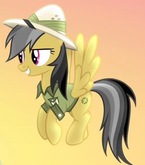 Daring Do (My Little Pony) Side Ponytail Wedding Hairstyles, Side Ponytail Wedding, Read It And Weep, Side Pony, Mlp Twilight, Mlp Comics, Mlp Characters, My Lil Pony, Takayama