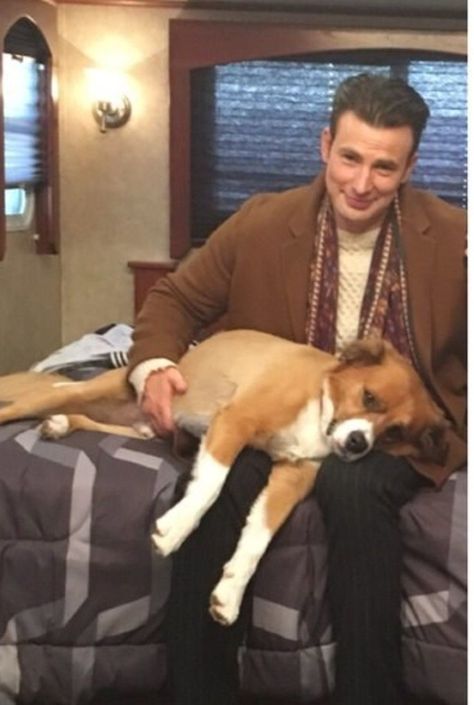 Sweet loving pup and his human 🐶💋♥️ 👨 Steve Rogers, Christopher Robert Evans, Karakter Marvel, Christopher Evans, Steve Rogers Captain America, Robert Evans, Chris Evans Captain America, Man Thing Marvel, Marvel Actors