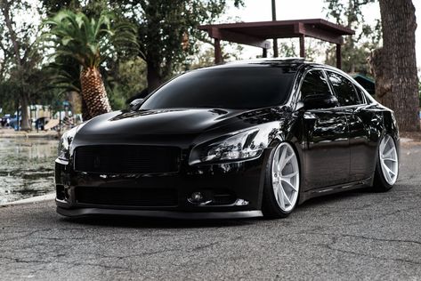 Darth Vader Approves: Tuned Black Nissan Maxima on Custom Wheels — CARiD.com Gallery Black Nissan Maxima, Nissan Maxima 2017, 2010 Nissan Maxima, White Nissan, 2009 Nissan Maxima, Nissan Altima Coupe, 2017 Nissan Altima, Nissan Cars, Nissan Infiniti