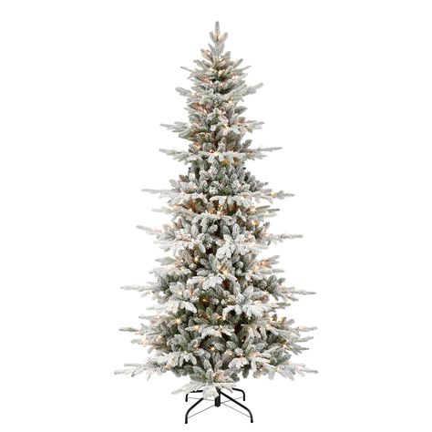 "Find the 7.5ft. Pre-Lit Flocked Slim Utah Fir Artificial Christmas Tree, Clear Lights at Michaels. com. This flocked Utah fir Christmas tree adds a touch of snowy ambiance even if a white Christmas is not in the forecast. Its snow-dusted pine needle branch tips create a realistic feel, bringing the magic of wintry forests straight into your home. This flocked Utah fir Christmas tree adds a touch of snowy ambiance even if a white Christmas is not in the forecast. Its snow-dusted pine needle bran Christmas Tree Clear Lights, Slim Tree, Fir Christmas Tree, Real Christmas Tree, A White Christmas, Holiday Centerpieces, Fir Tree, Christmas Tree Lighting, Artificial Christmas Tree