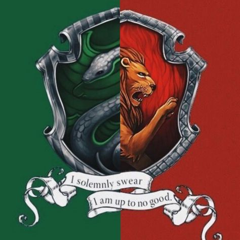 I'm a gryffindor and slytheirn rising.💚❤️💚❤️ Slytherin And Gryffindor Aesthetic, Gryffindor X Slytherin, Slytherin X Gryffindor, Slytherin And Gryffindor, Gryffindor And Slytherin, Harry Potter Portraits, Slytherin Wallpaper, Slytherin Gryffindor, Gryffindor House